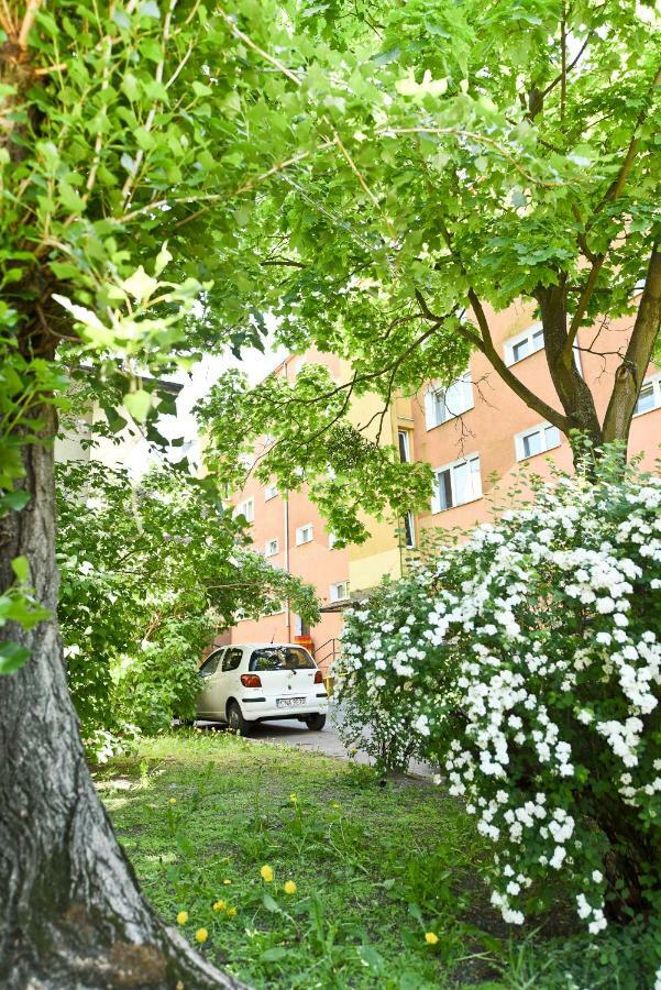 Nice Stay Apartment By Rentoom Stary Toruń Dış mekan fotoğraf